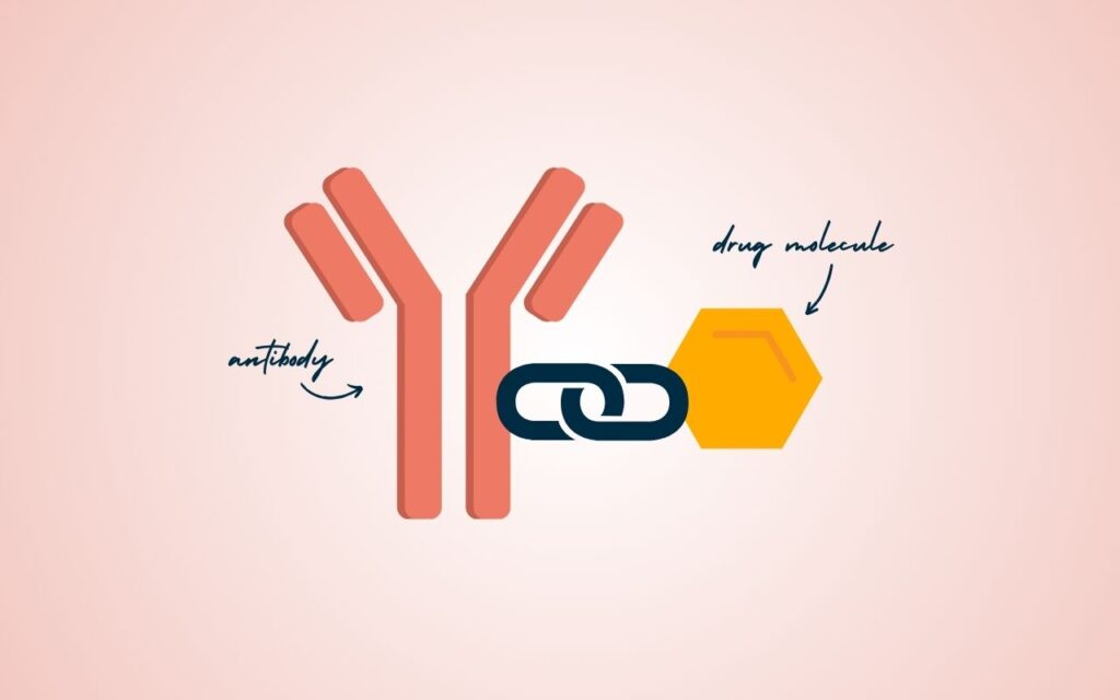 illustration showing antibody-drug conjugates